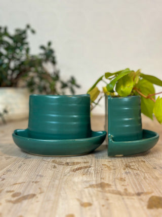 Book ends in Emerald w/plant